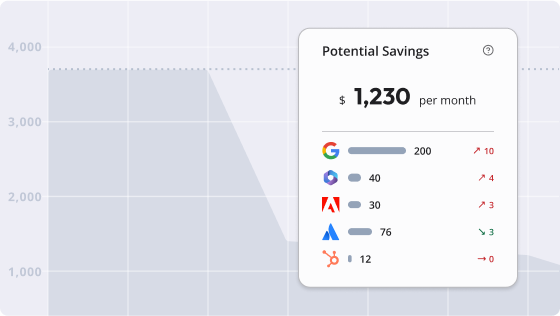 Visualize usage to achieve cost optimization and risk management